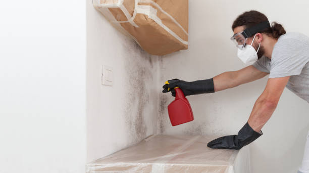 Professional Commercial Mold Remediation technician working in Hasbrouck Heights, NJ