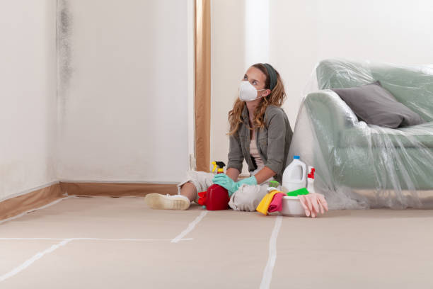 Reliable Mold Remediation contractor in Hasbrouck Heights, NJ by Cheap Mold Removal